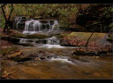 pleasant ridge falls.jpg